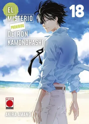 EL MISTERIO PROHIBIDO DE RON KAMONOHASHI 18