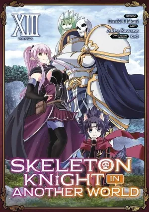 SKELETON KNIGHT IN ANOTHER WORLD 13
