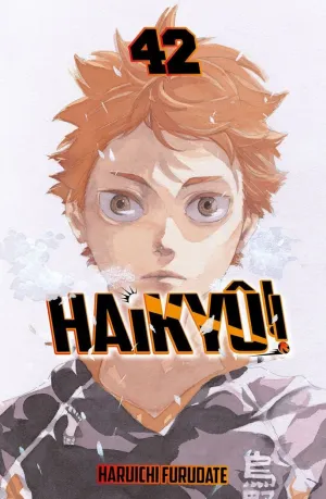HAIKYU!! 42 (DE 45)
